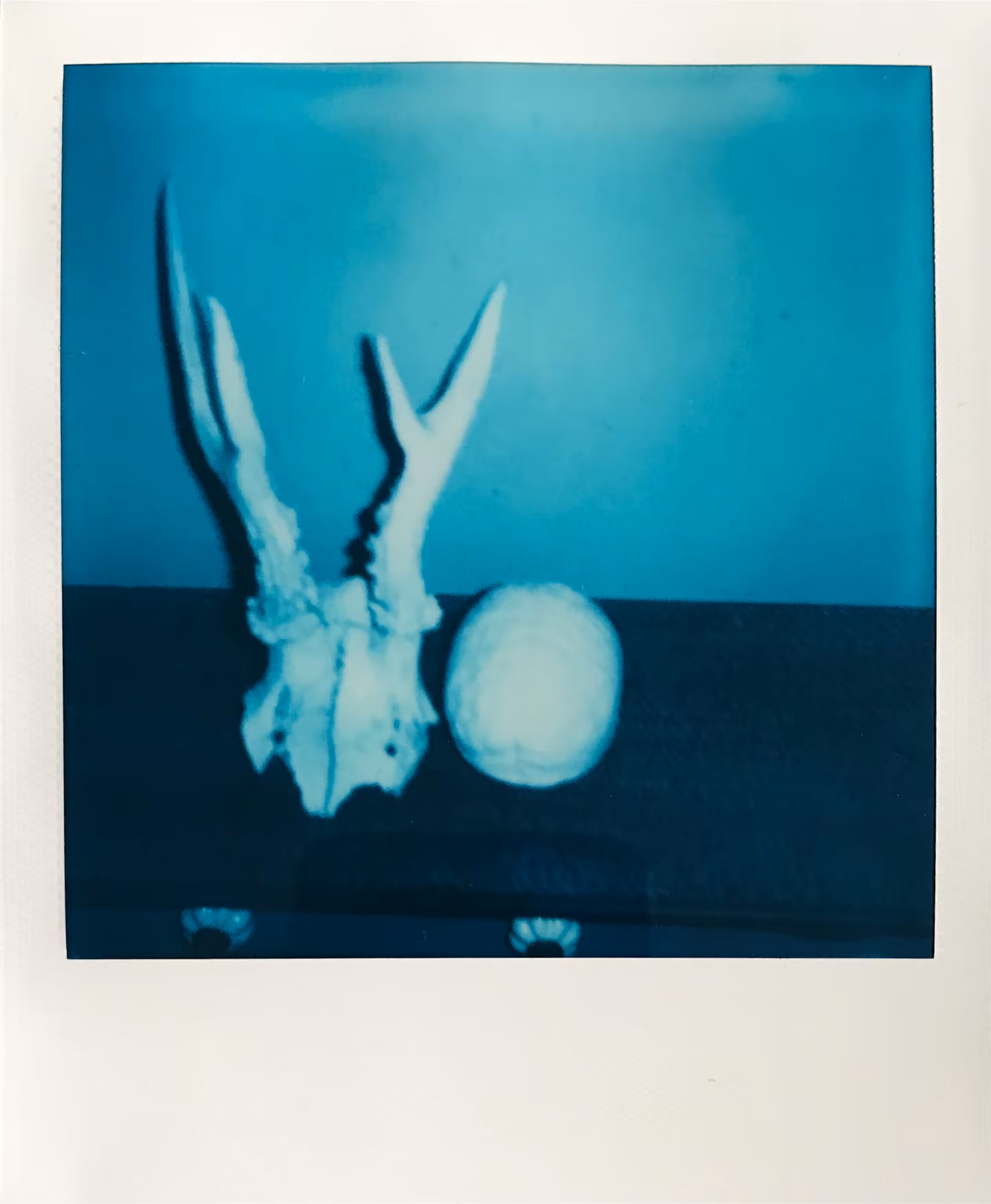 Polaroids 11
