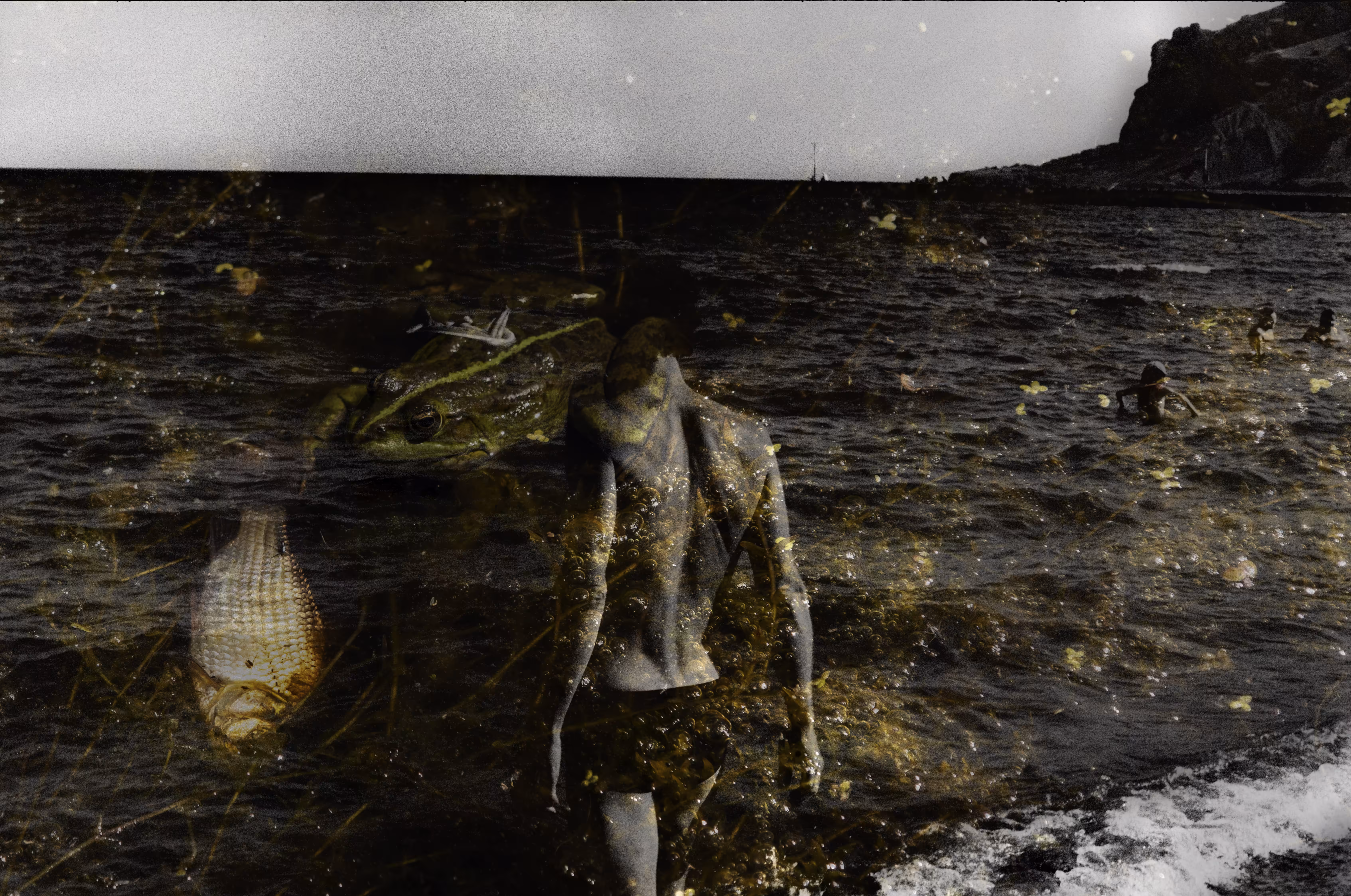 Archive of an unknown photographer: Son of Neptune