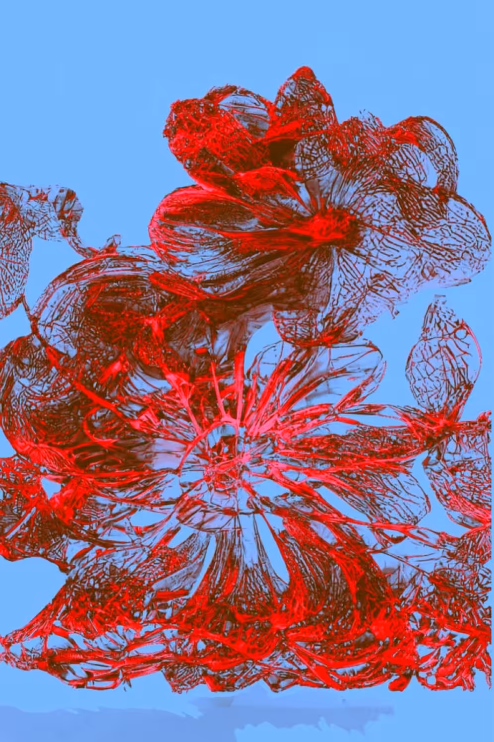 Sedserio: Nastic Expressionism