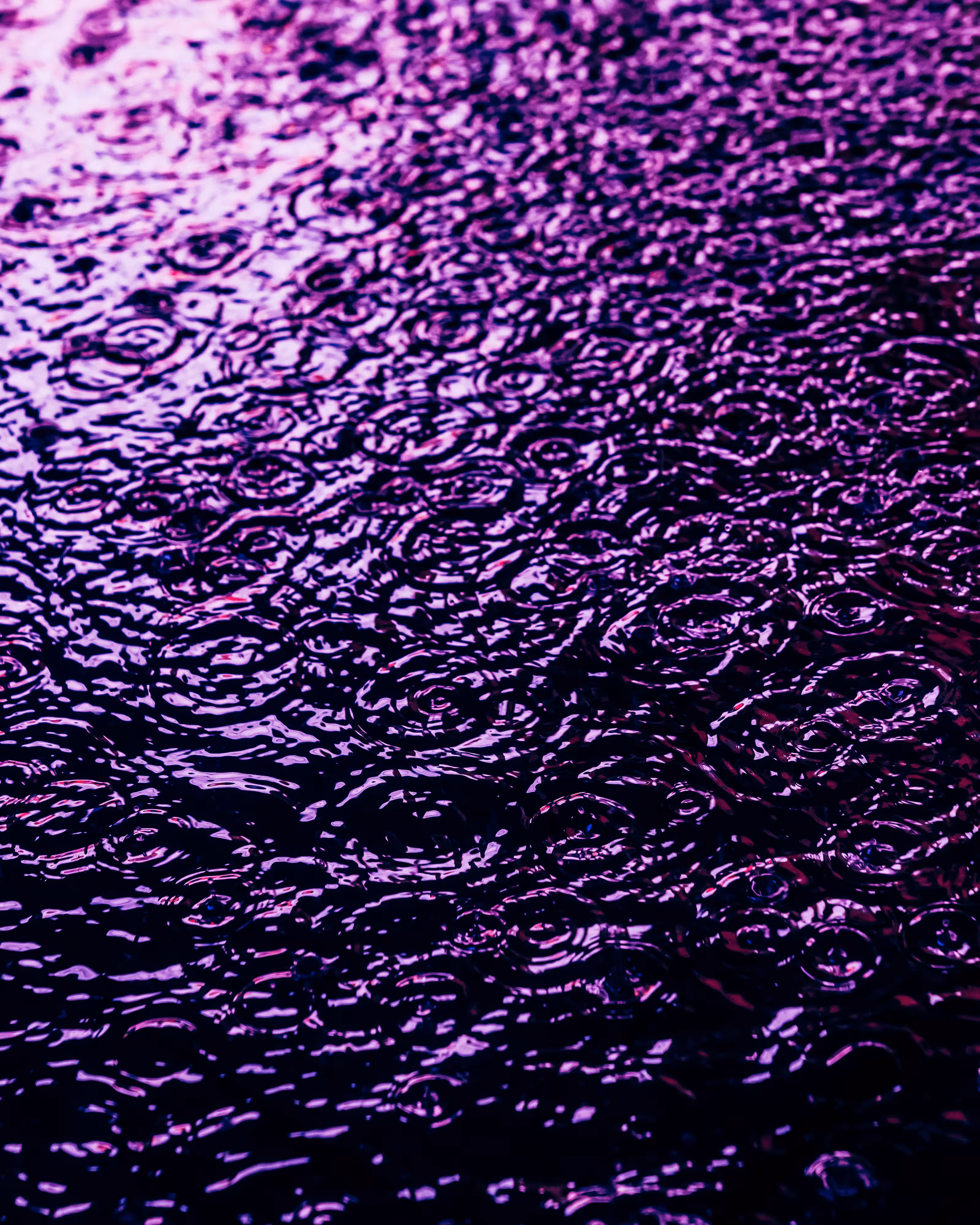 DRIP #389