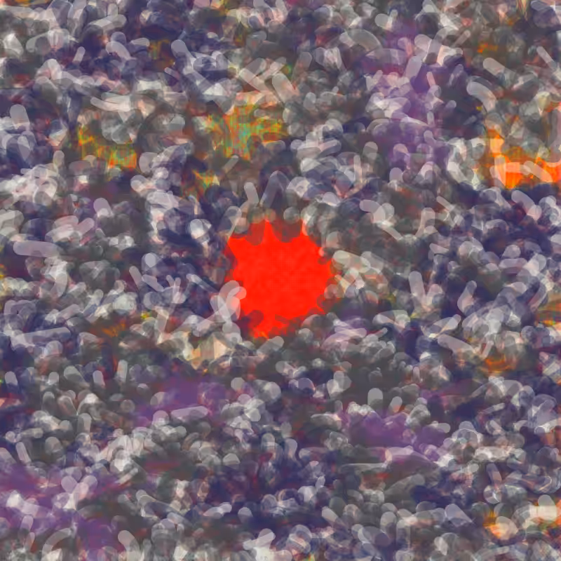 Petri 1500 #453