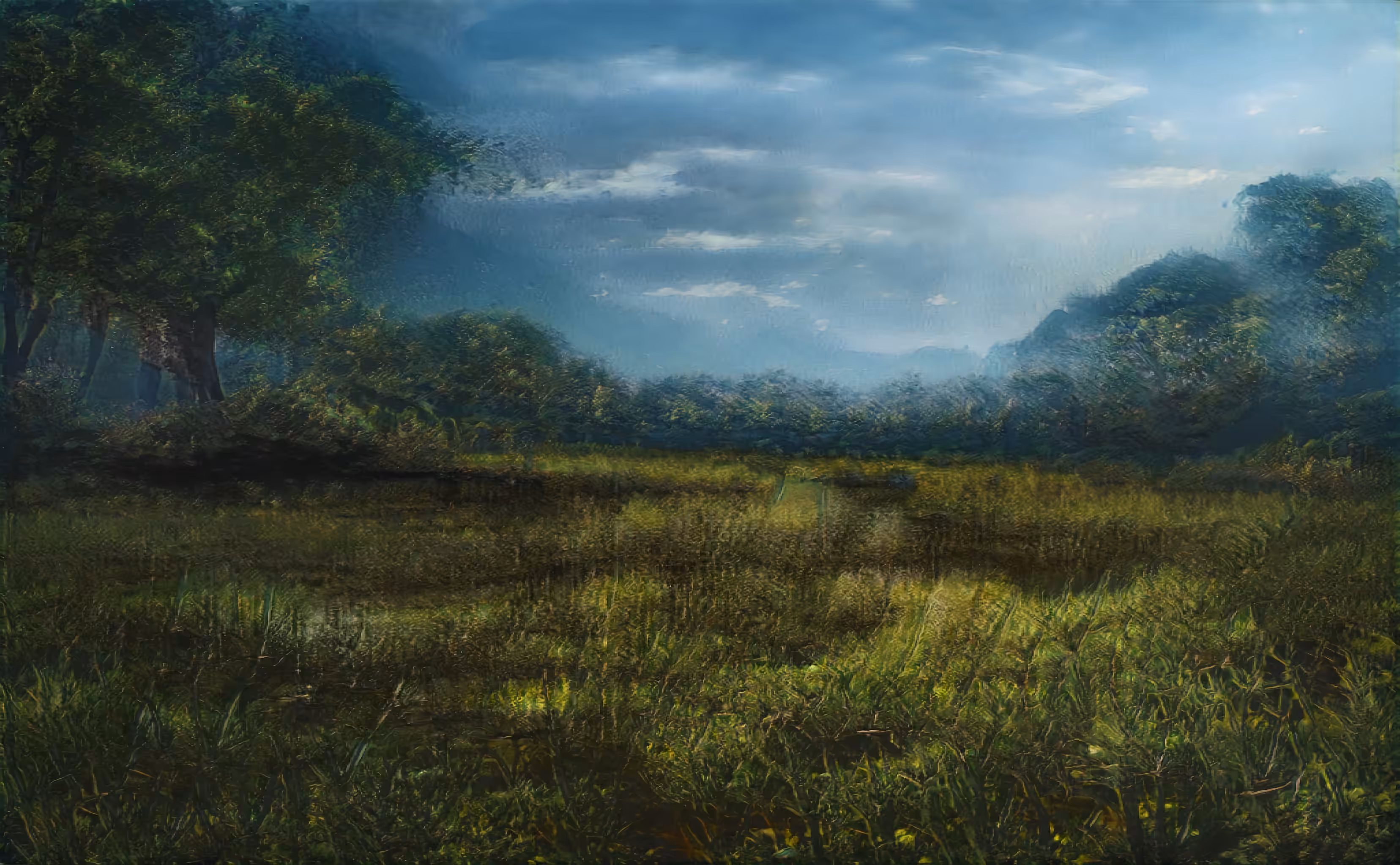 Great Foggy Meadow