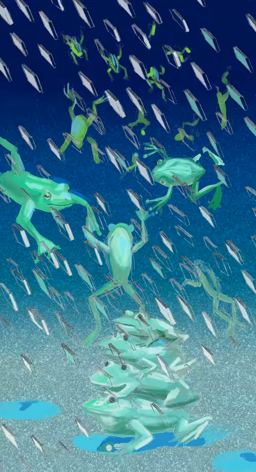 The rain frog