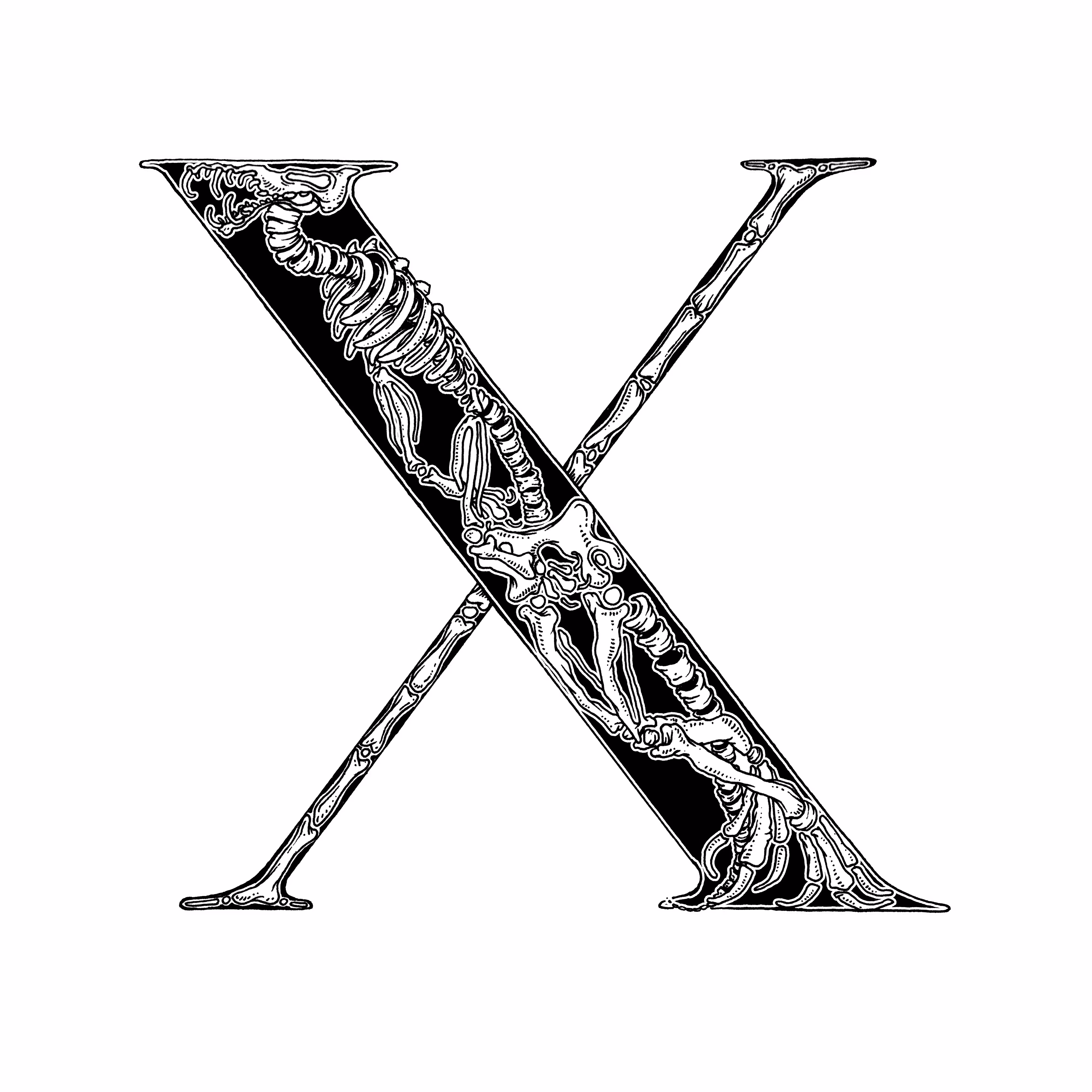 X (X-Ray) - 36 Days of Patterns