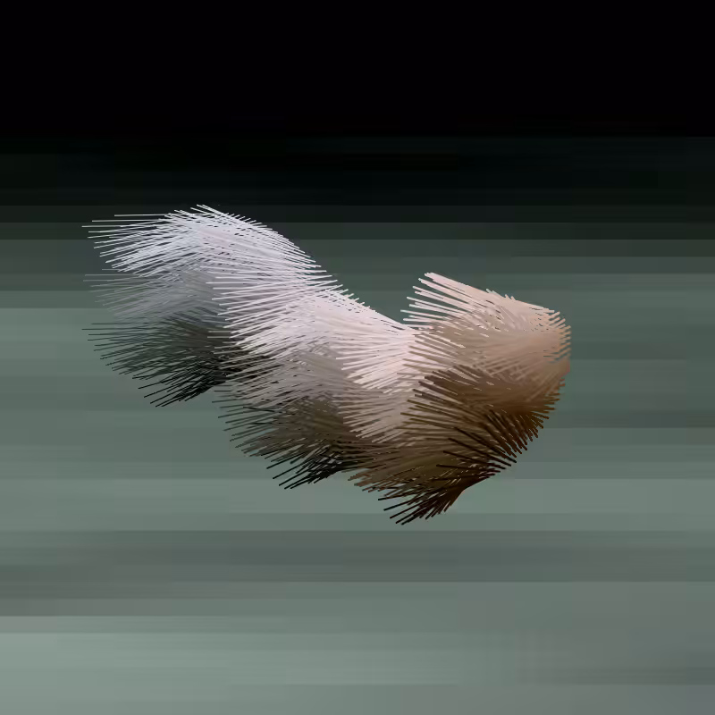 Swimmer #8