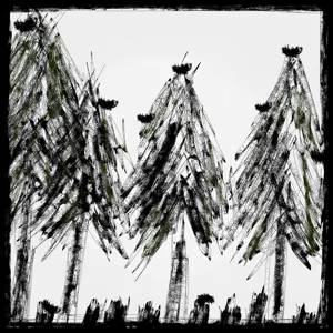 Empty Nests