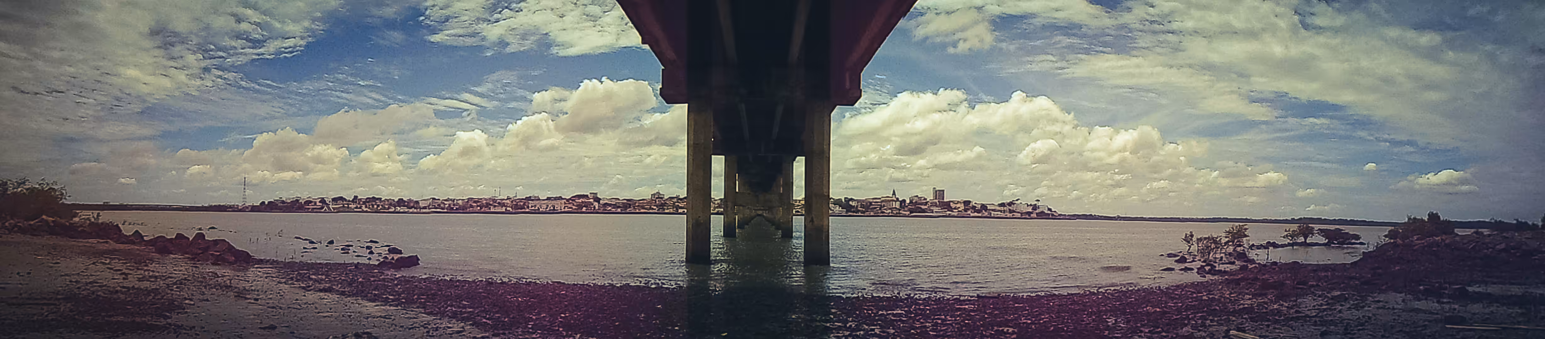 Panoramic View