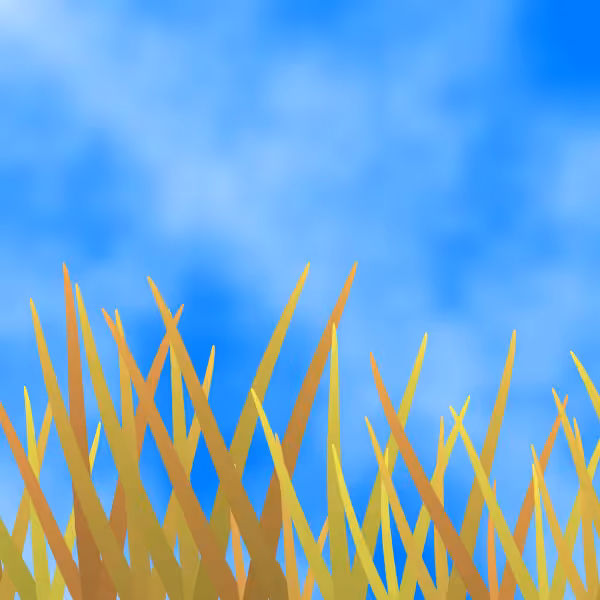 Fields of Ukraine #16