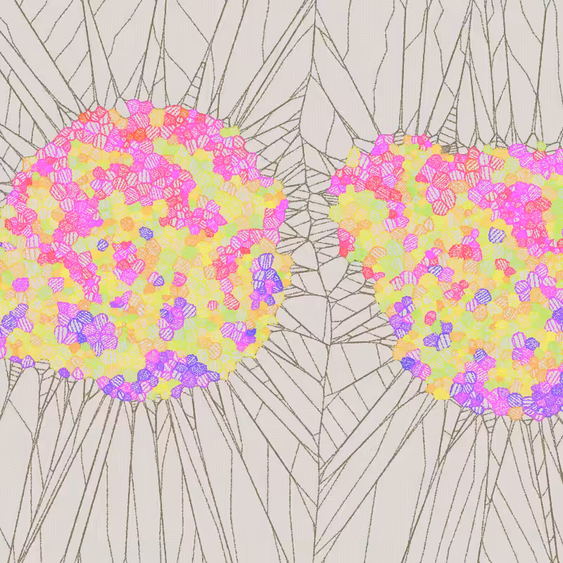 Fractured Cells #52