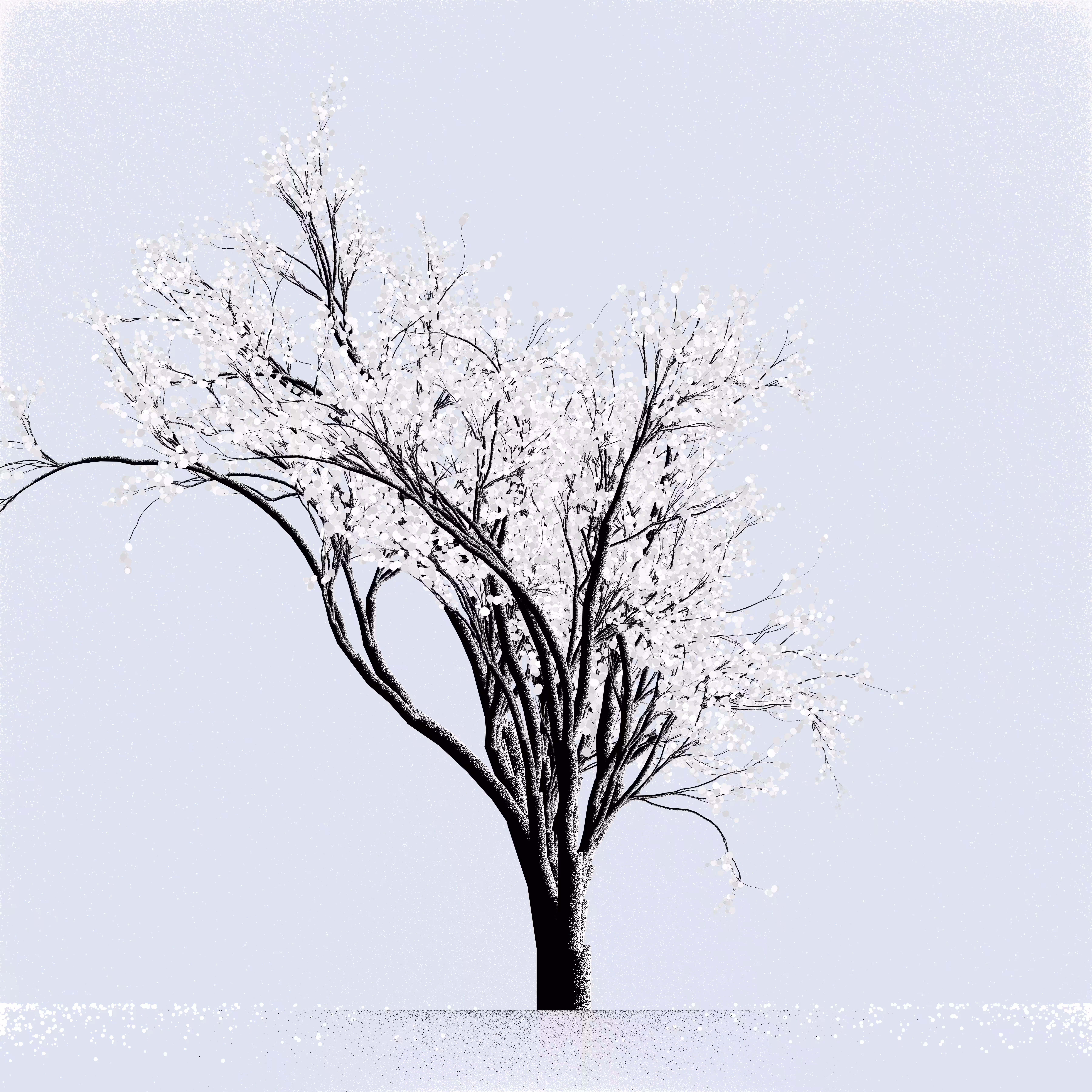 Snow Tree #48