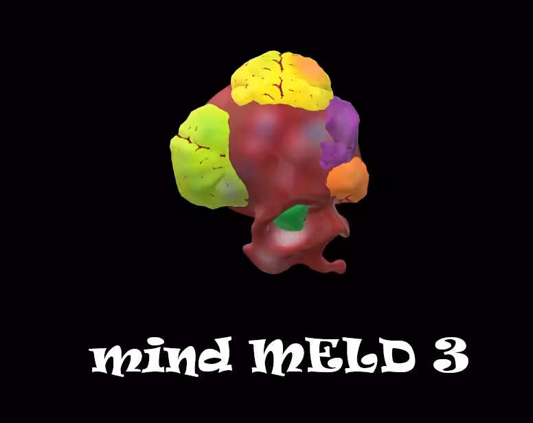 Mind-Meld 3