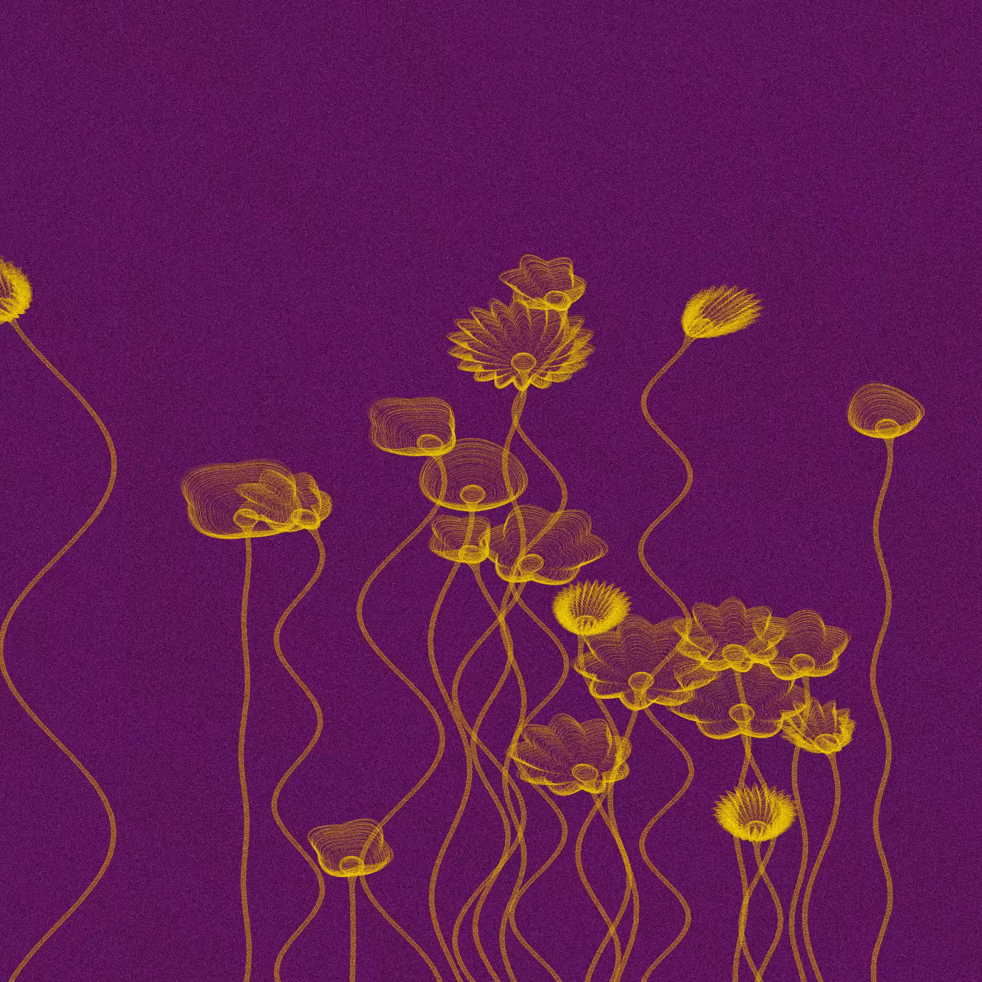 Code Flowers #51