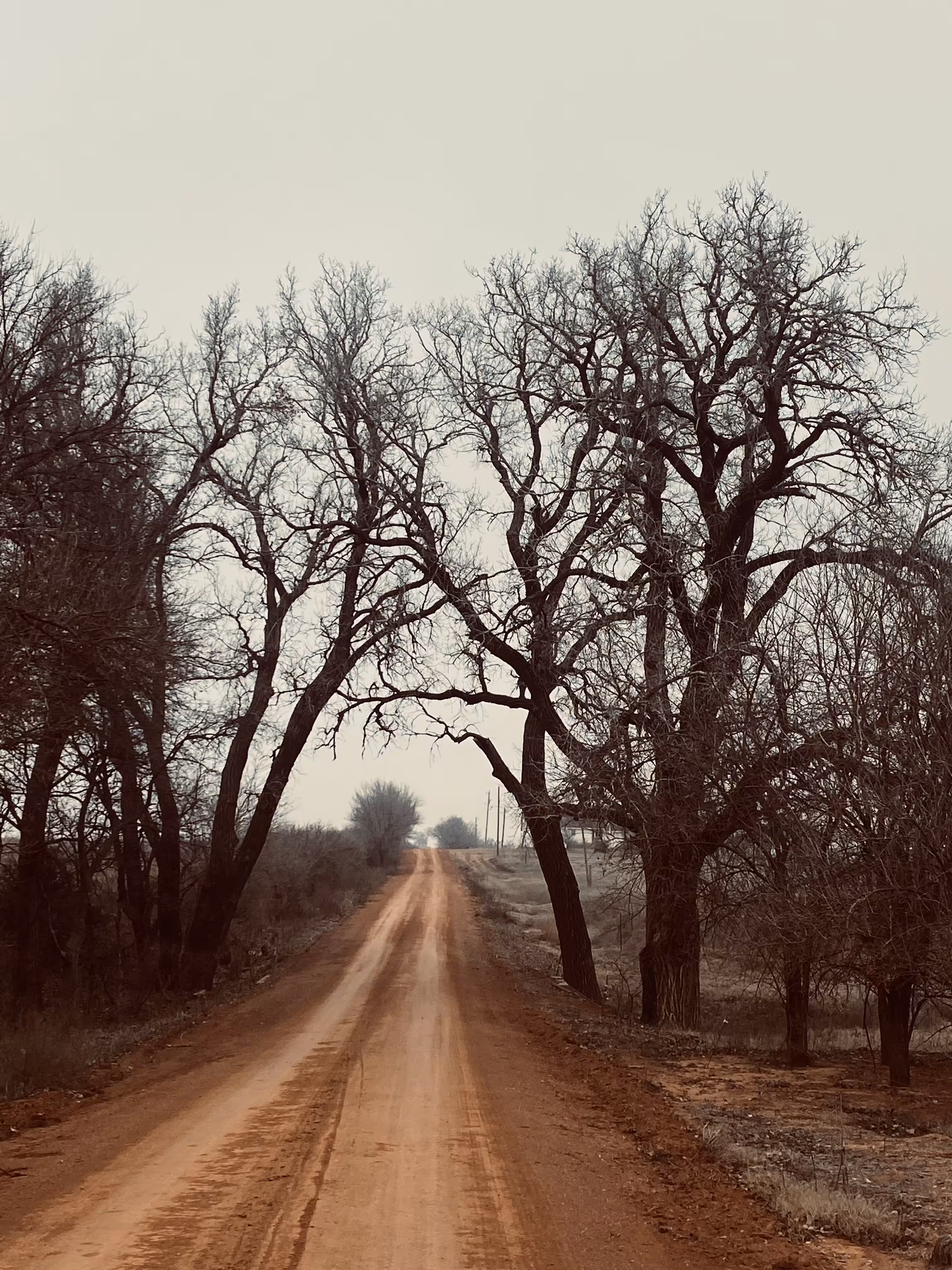 Country Roads