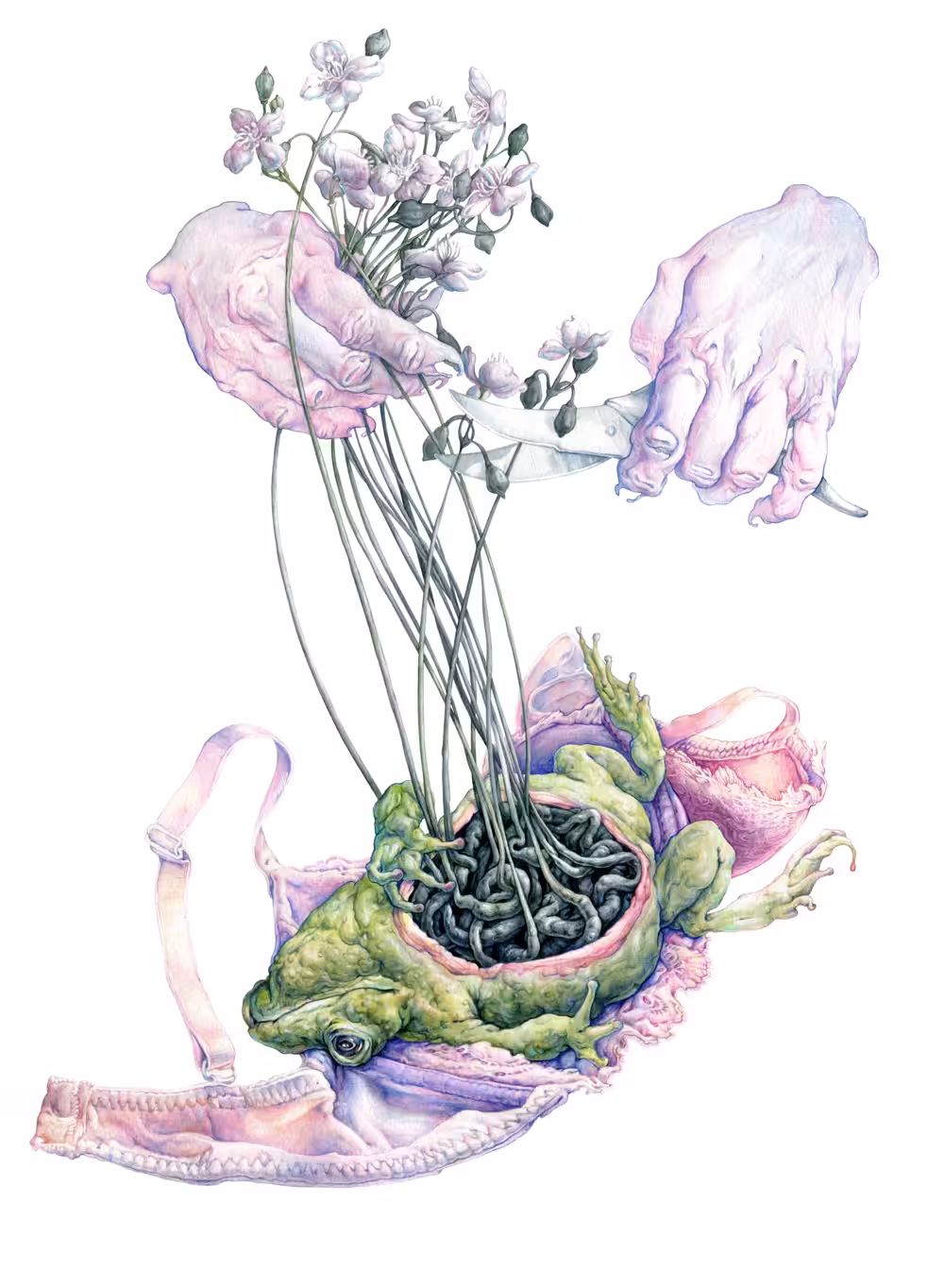 Harvest