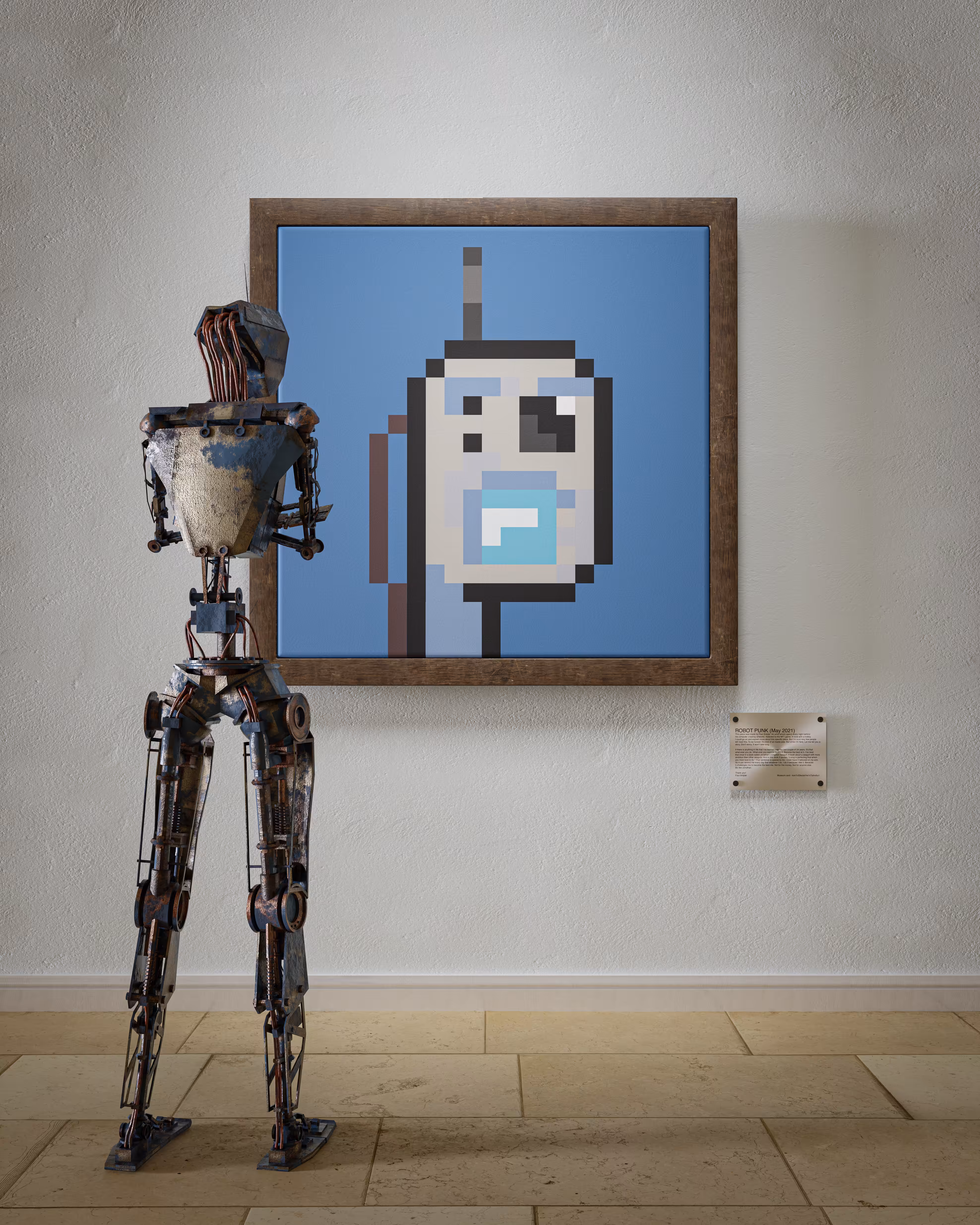 The Robot Punk Collector