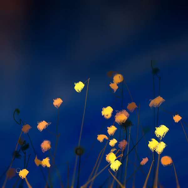 Cottongrass #17
