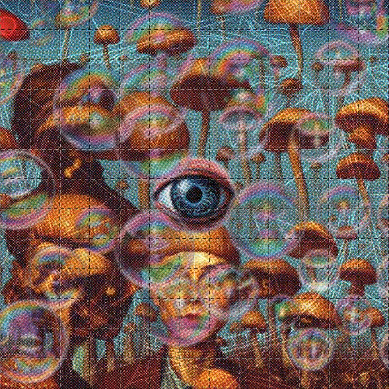 BLOTTER #53