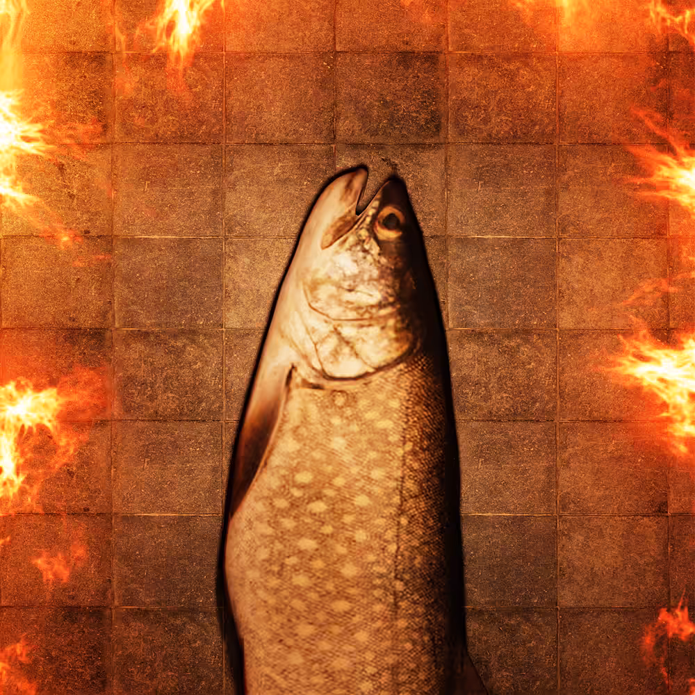TROUT IS THE ANSWER