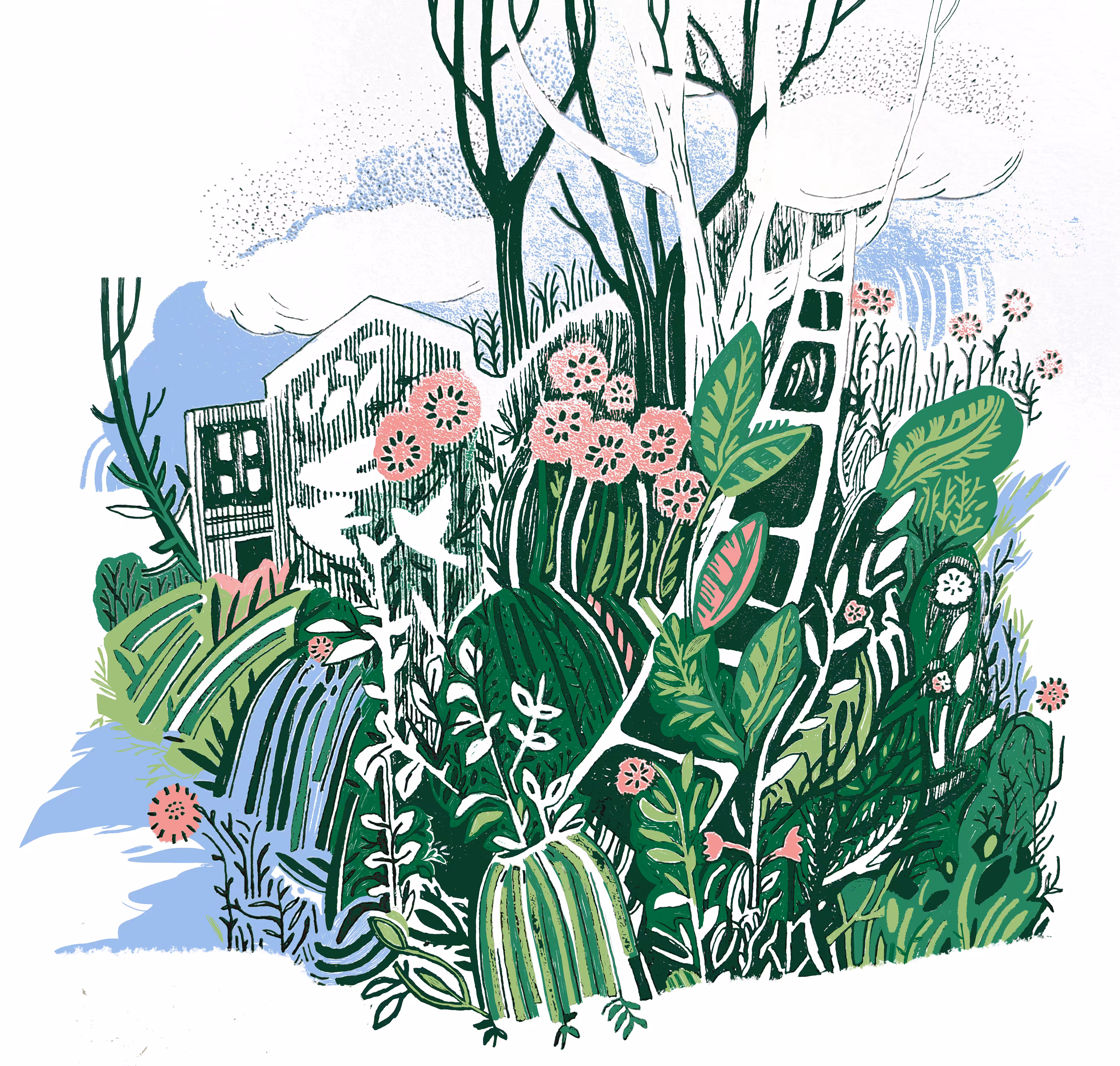 Silent Spring