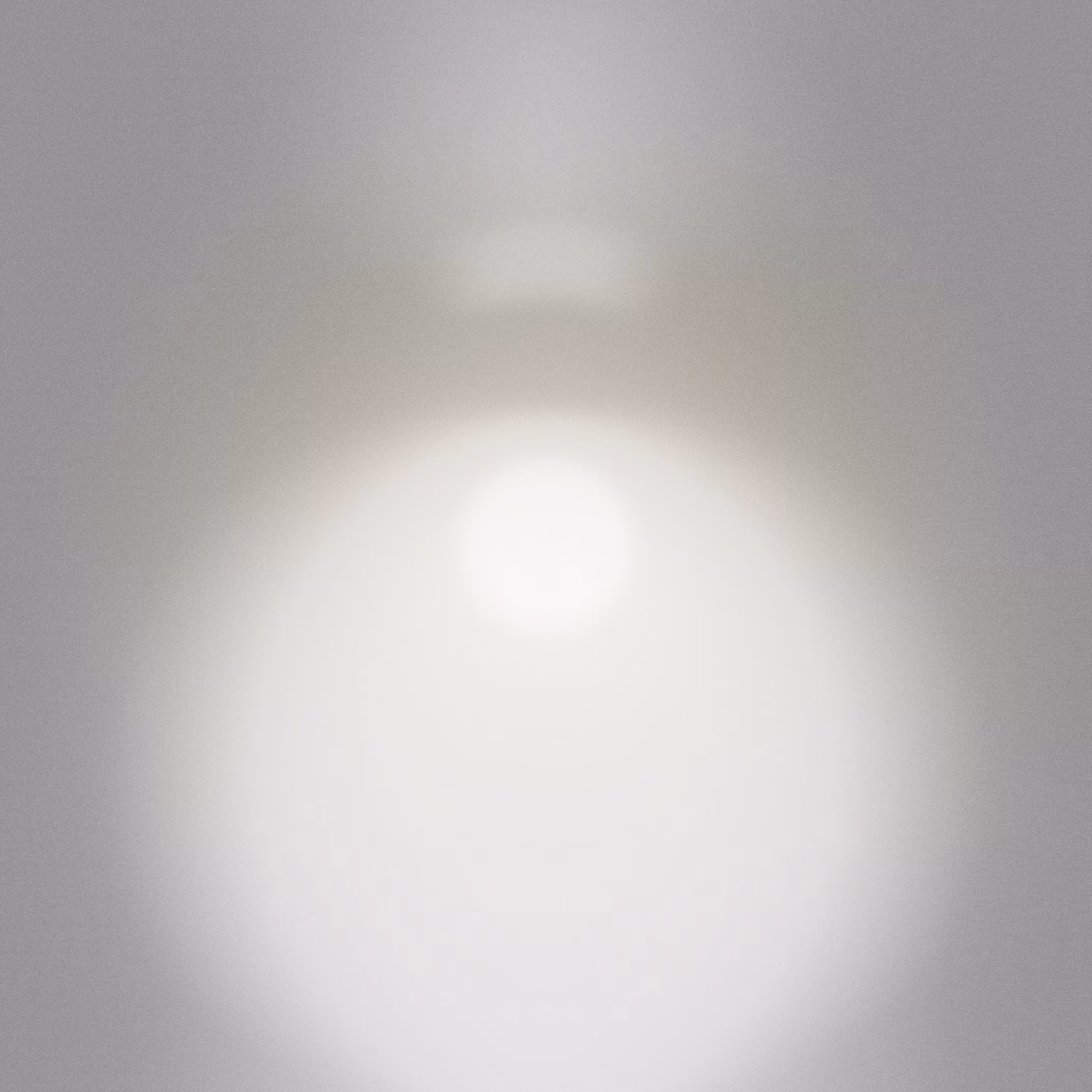 with the light 88