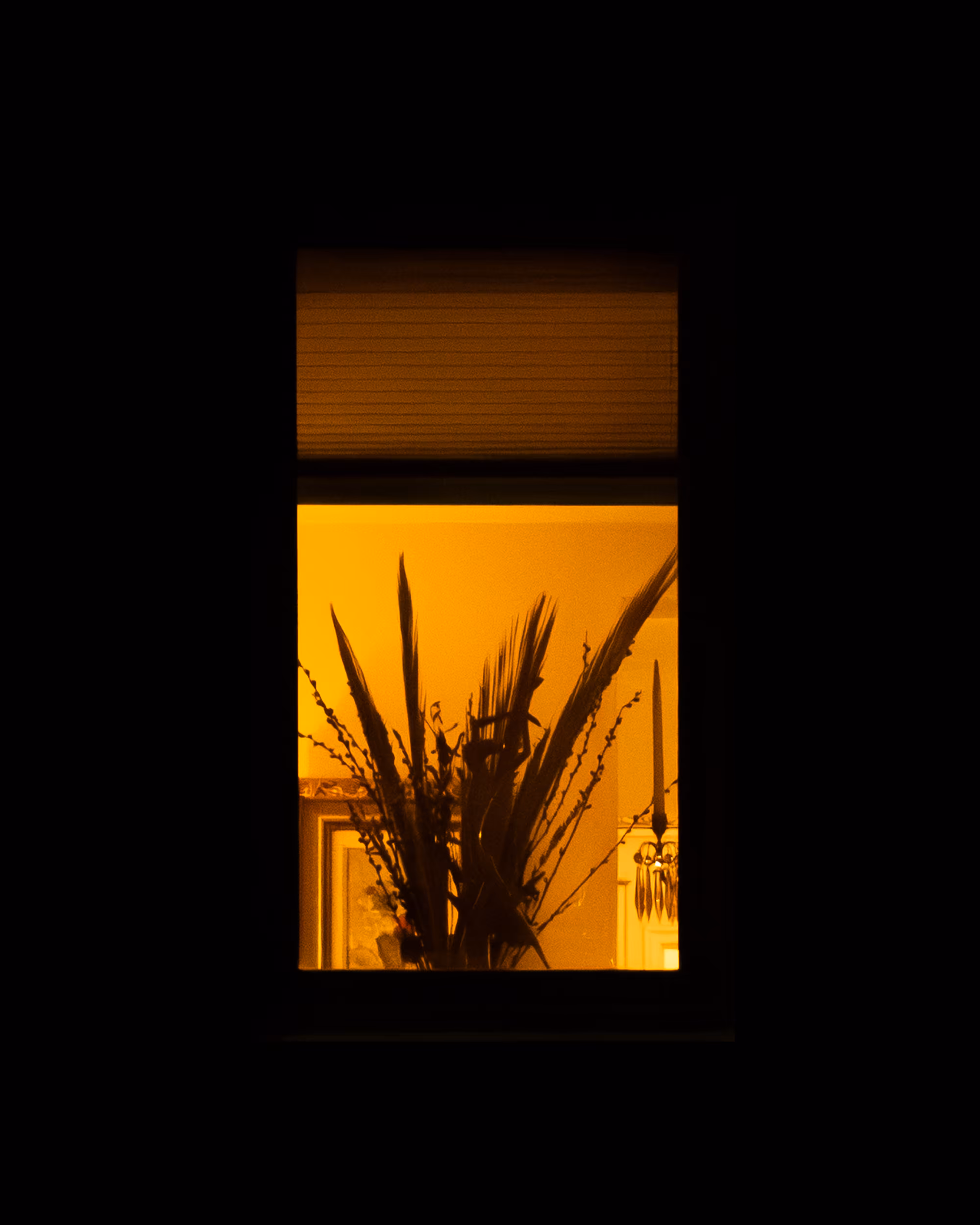 WINDOWS // NYC: WINDOW 78