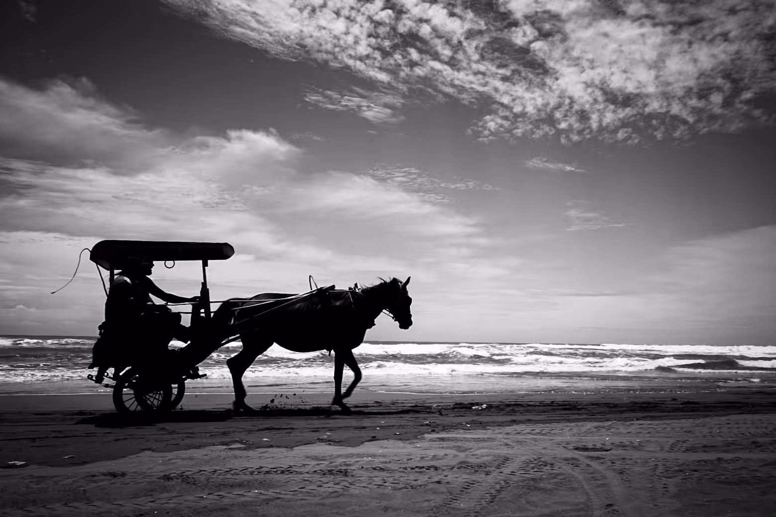Horse Power