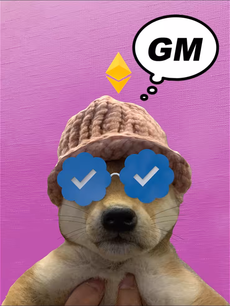 Achi, the dog wif hat - GM