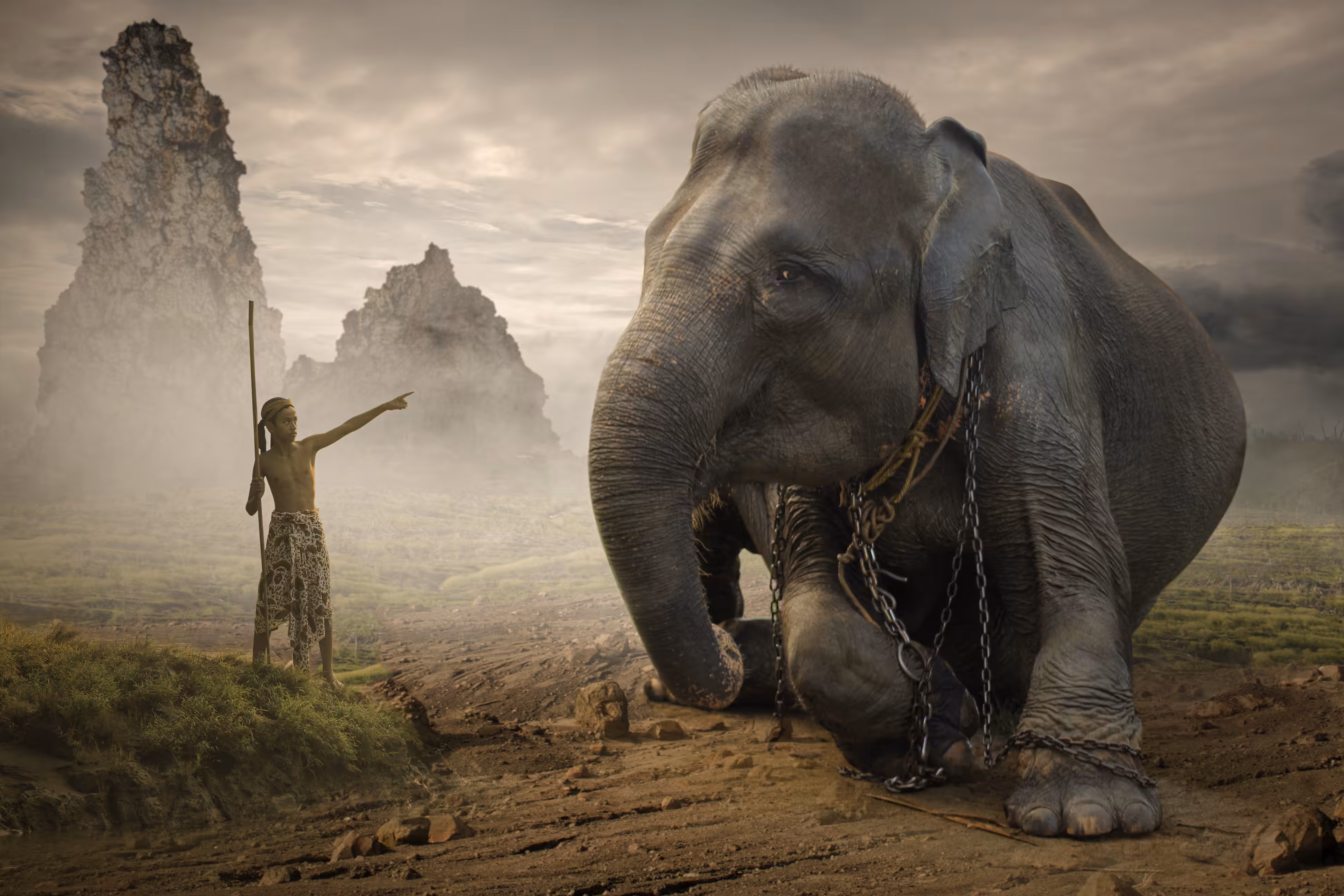elephant herder