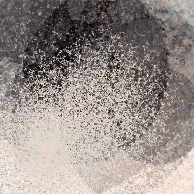 Enfold #14