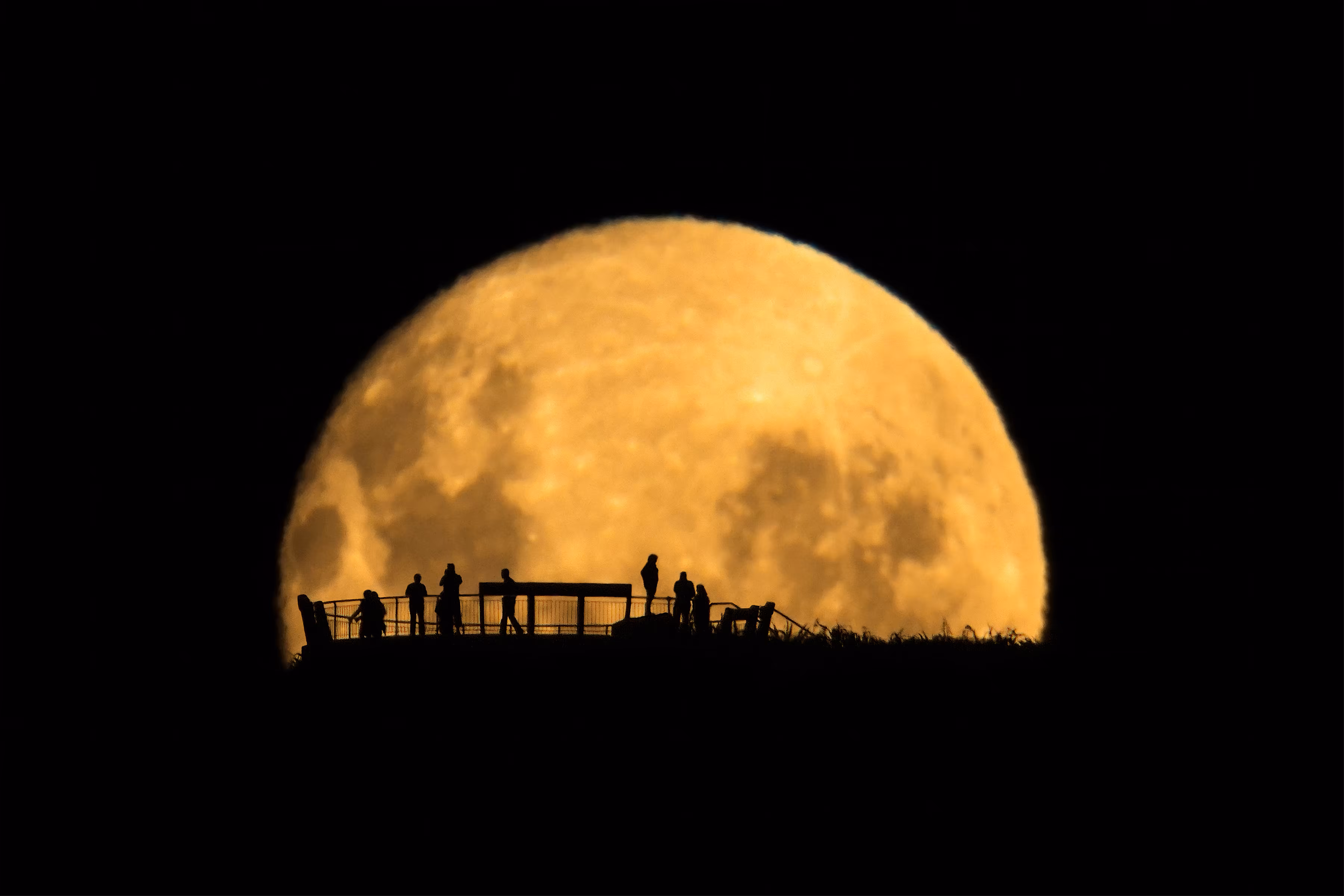 Moon Silhouettes