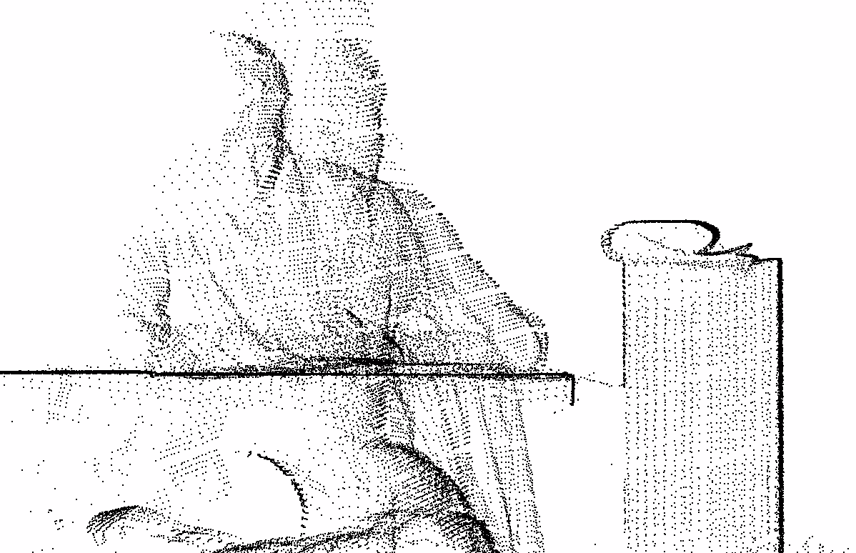2timelines 01