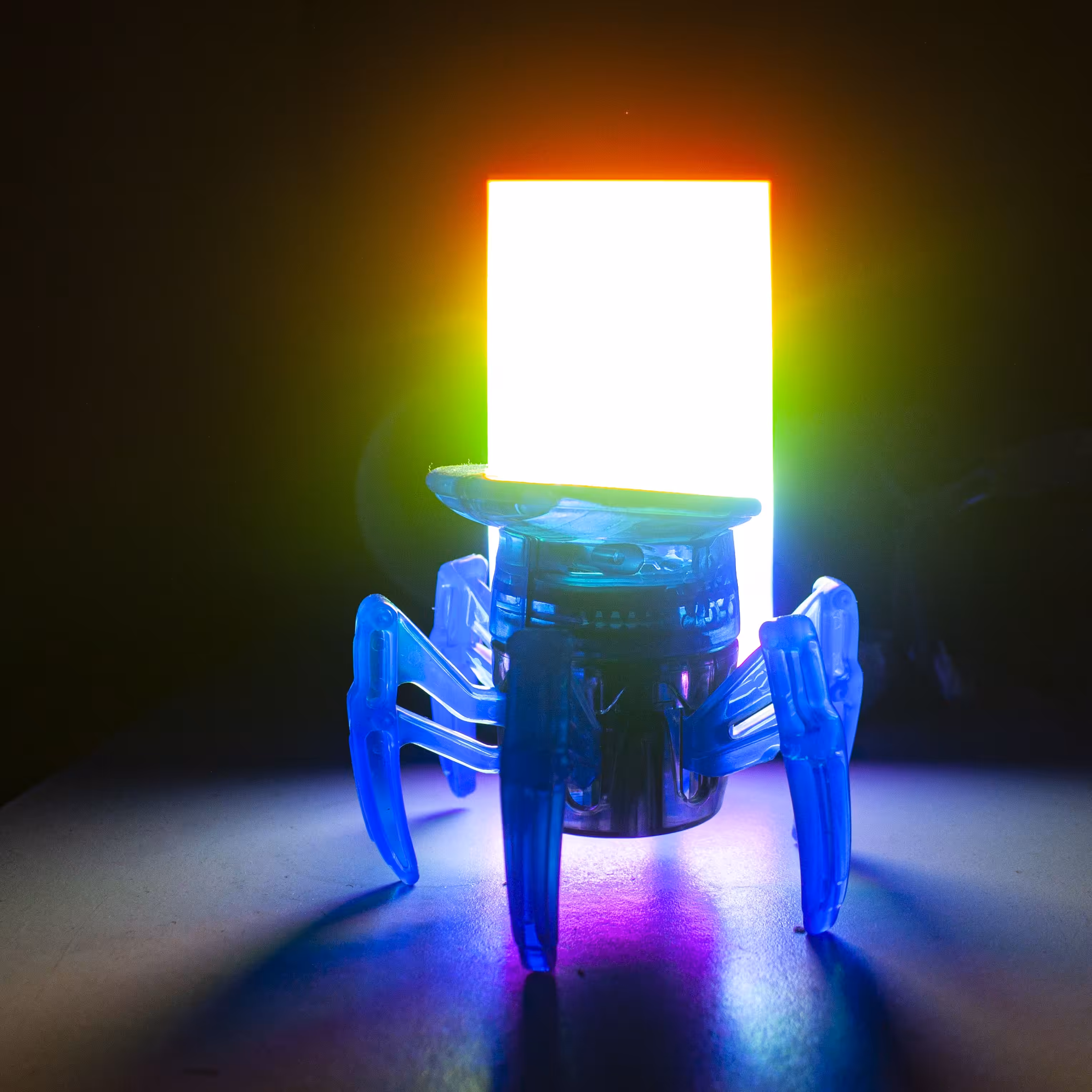 down into the spidebot hole