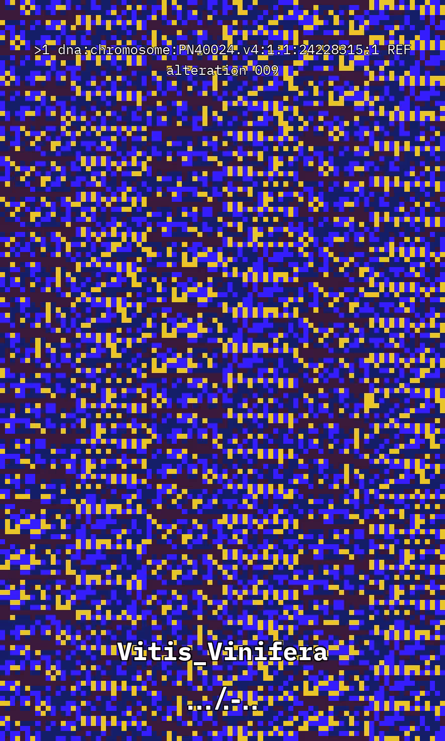 VITIS DNA ALTERATION: Vitis DNA Alteration #9