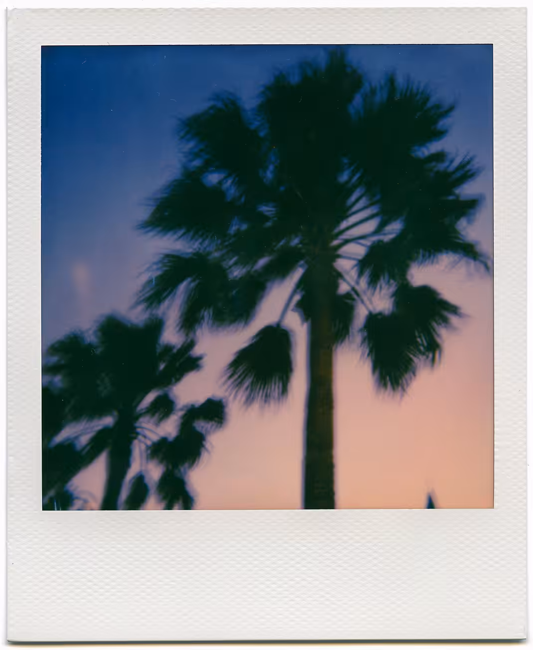 POLAROID SERIES / 1