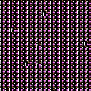 CGA Safari #171