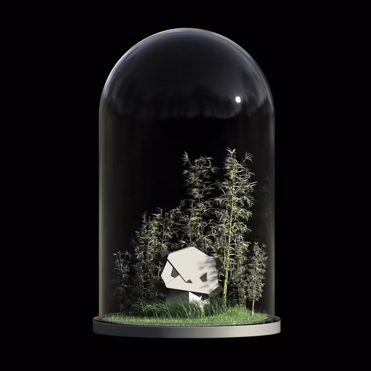 Paper Pal 001
