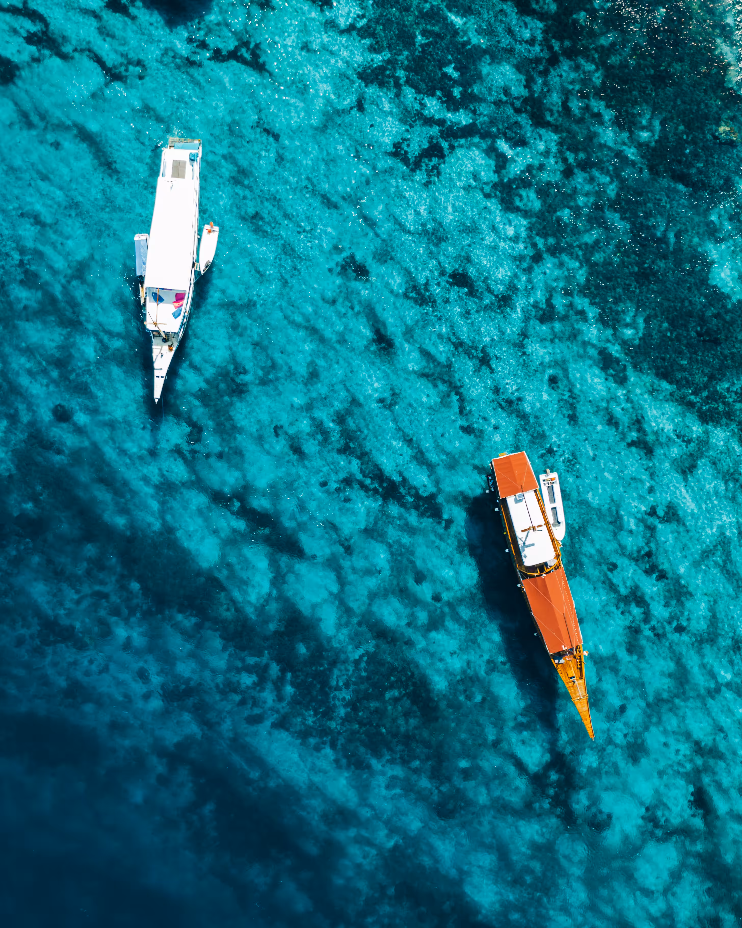 Seas The Day