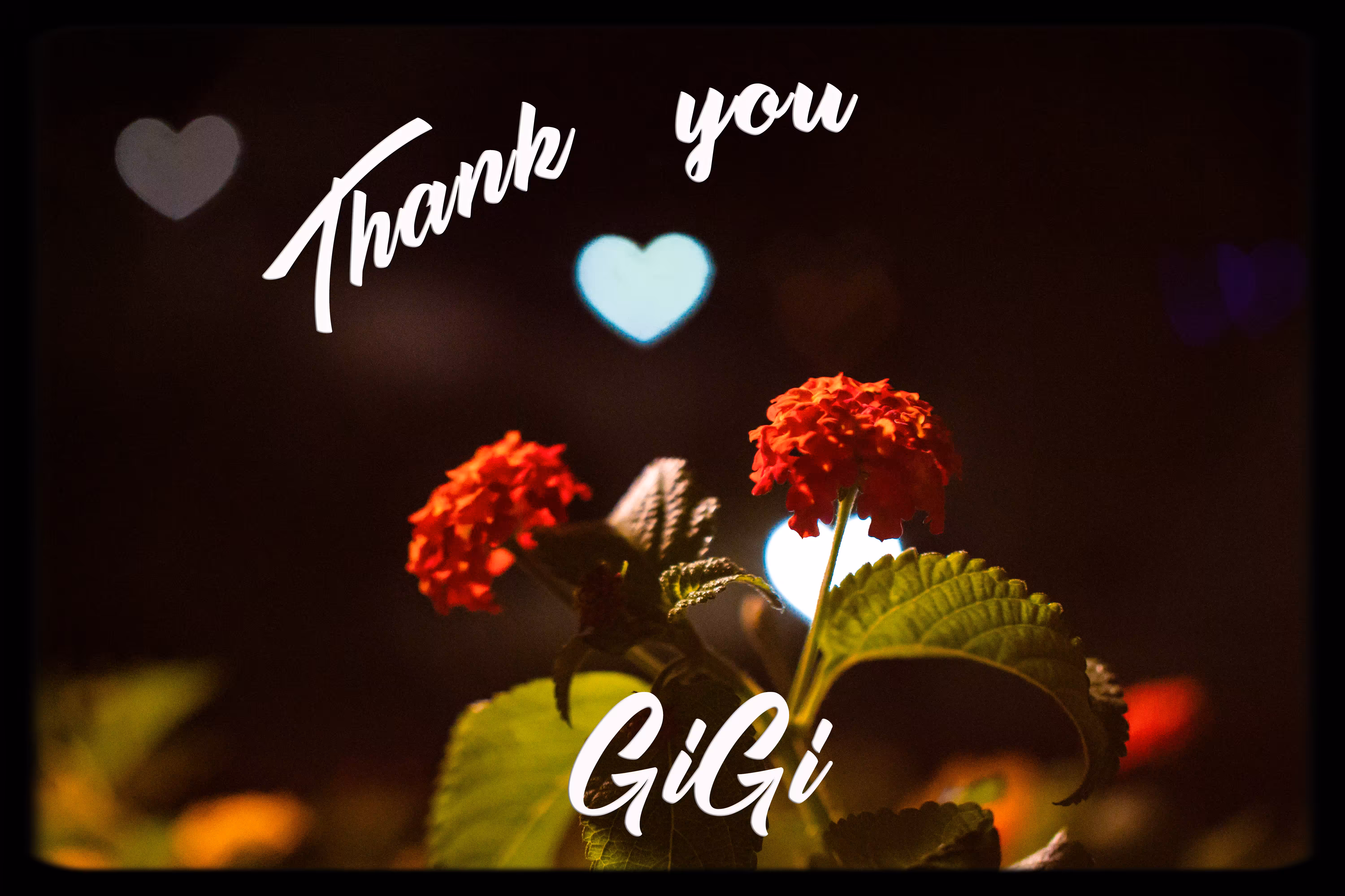 Thank You GiGi
