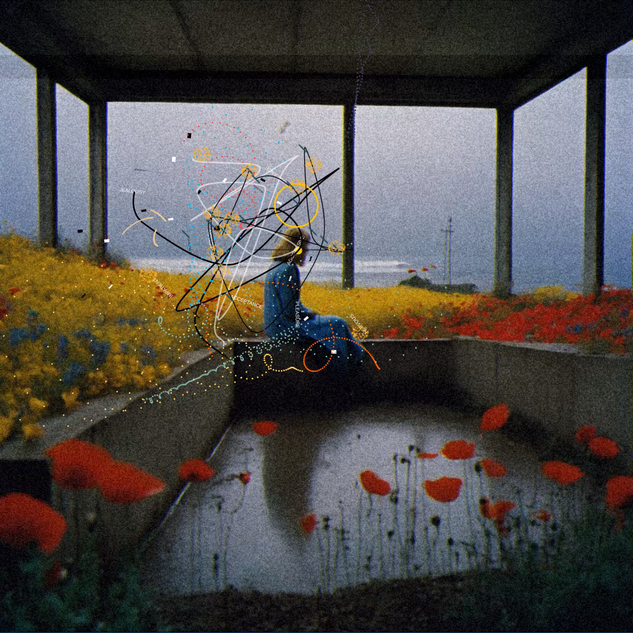 #51