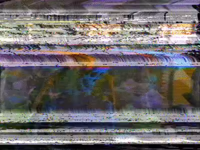 Spooky VHS