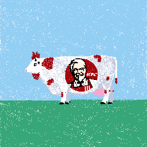 cows: cow #24