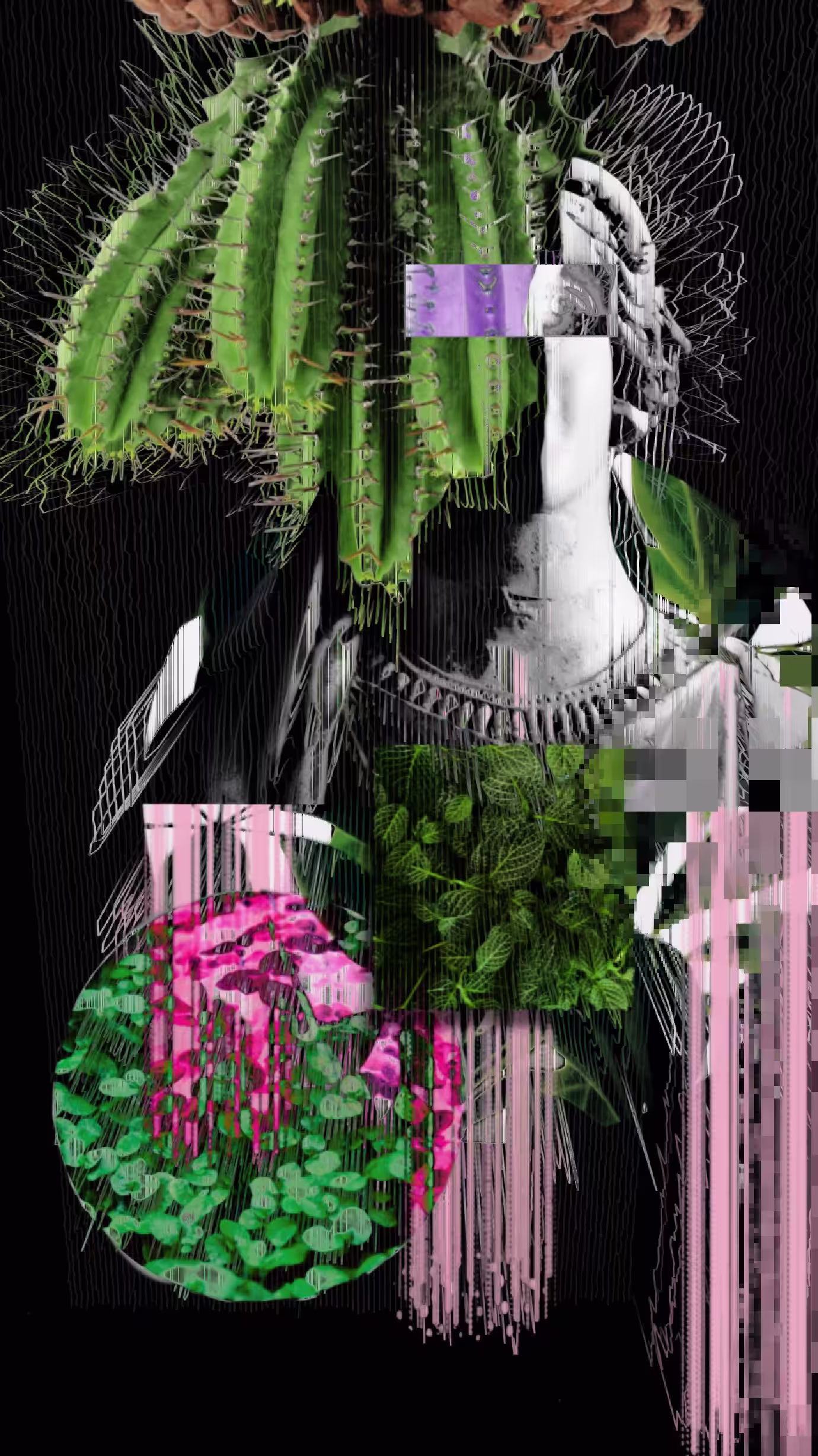 GREEN._.COMA.