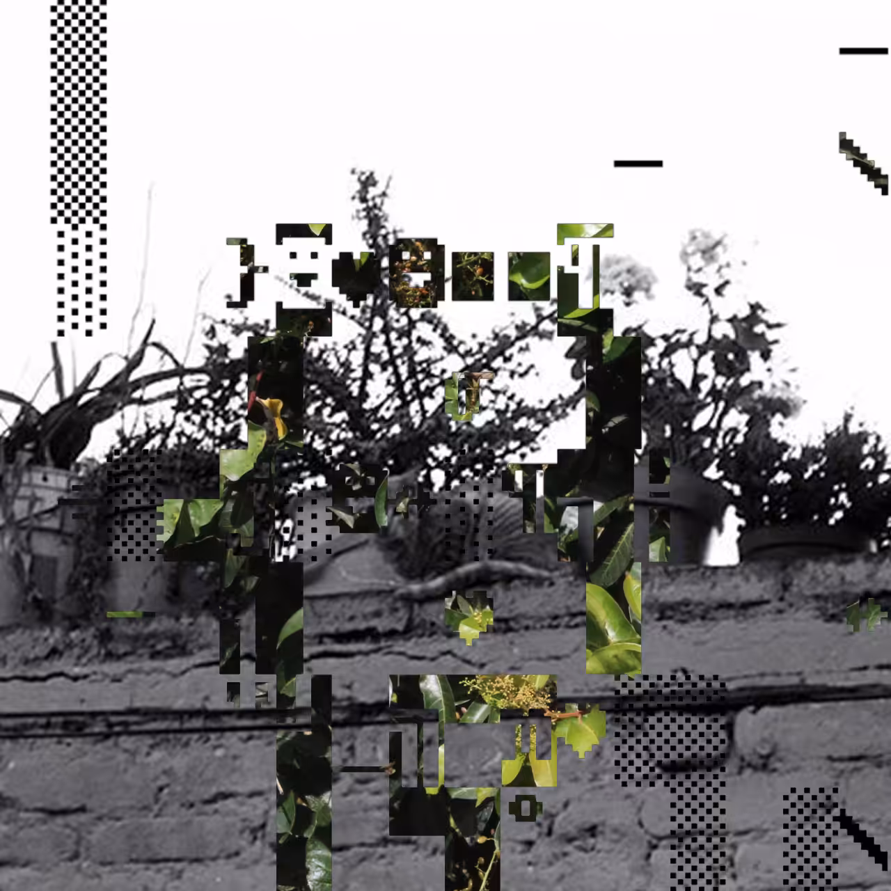 PhotoDOSpunk #44