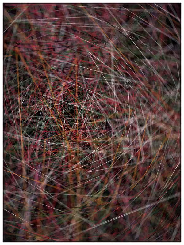 Haystack in a Needle #68