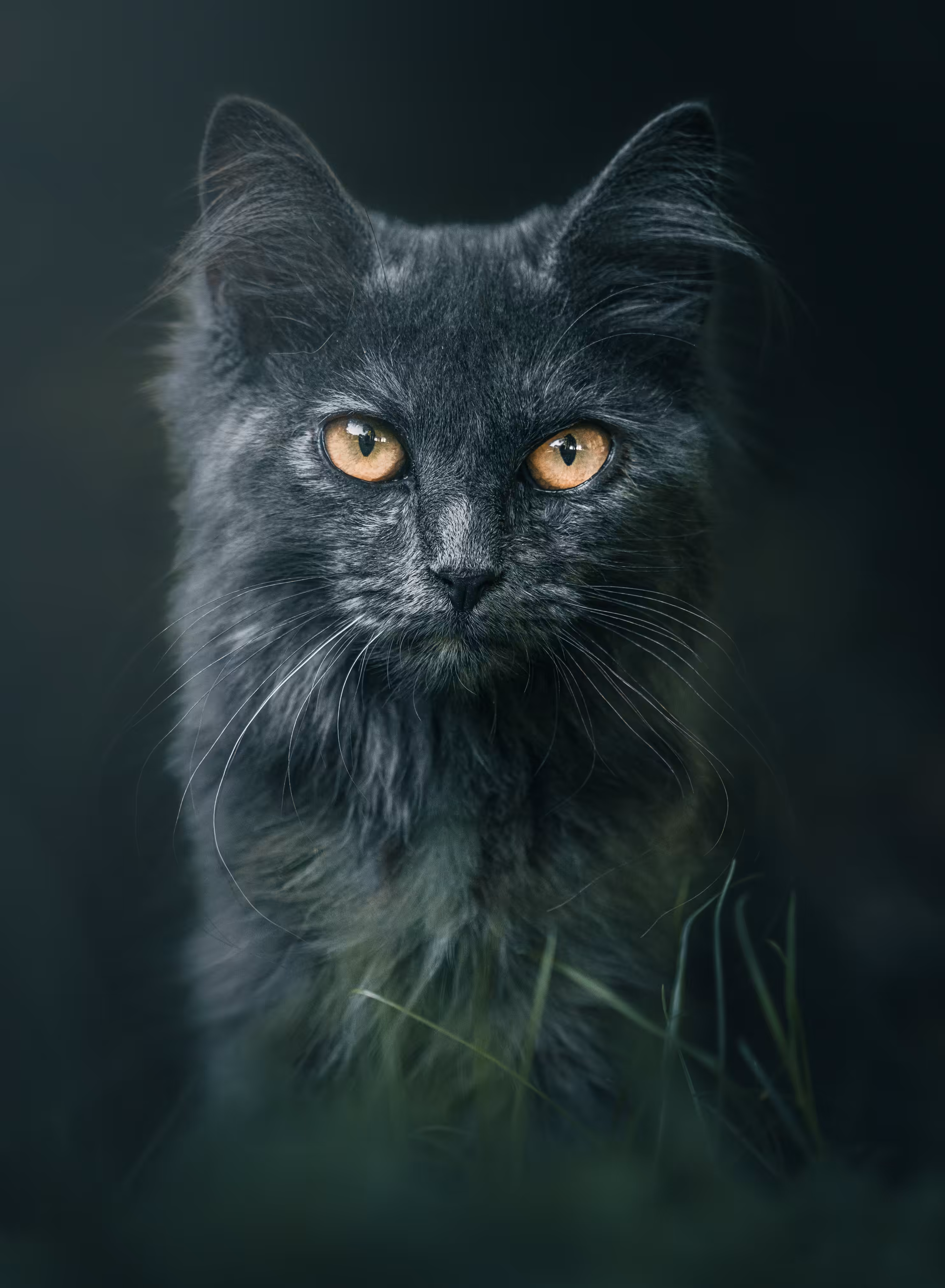 Woodland Spirit