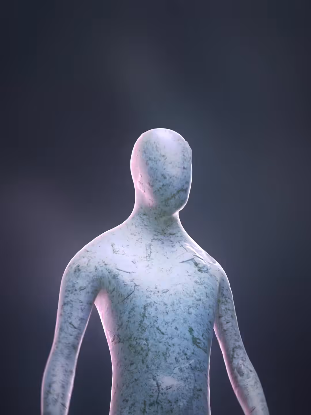 The Arctic Sentinel