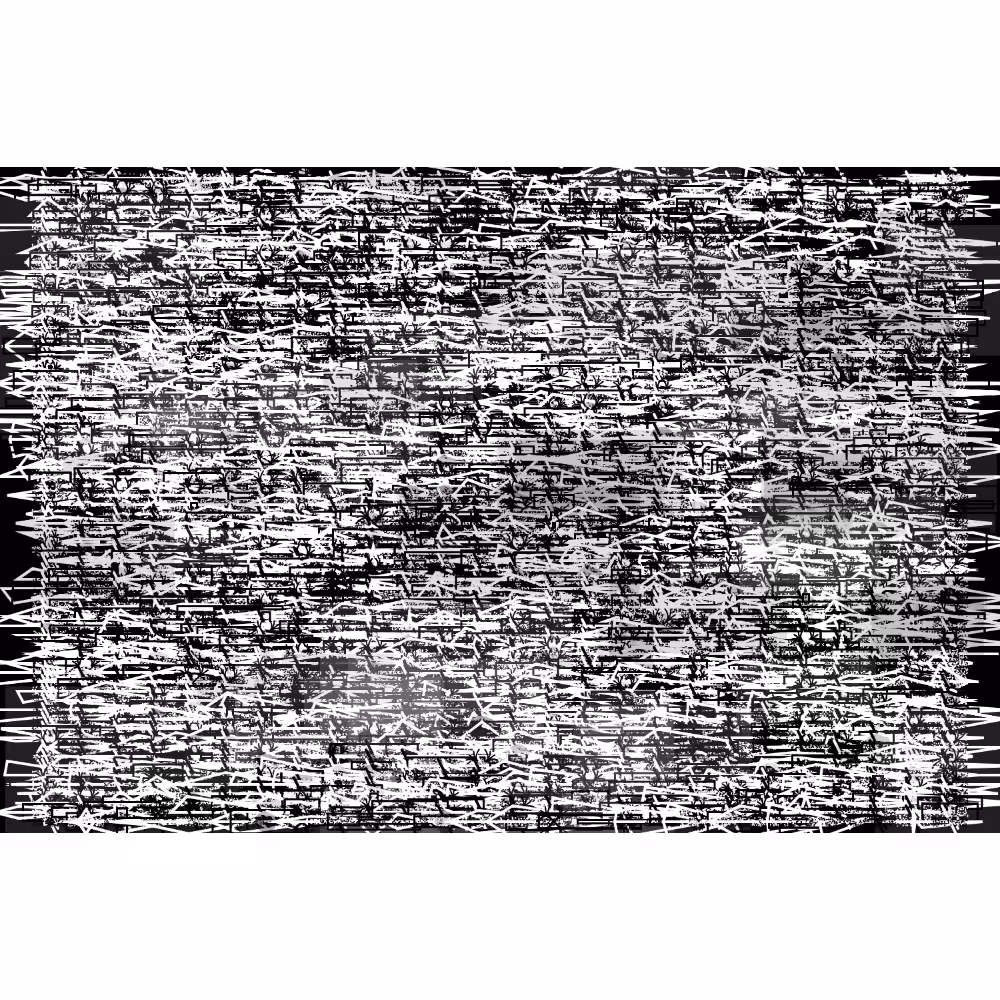 Etude B&W #243