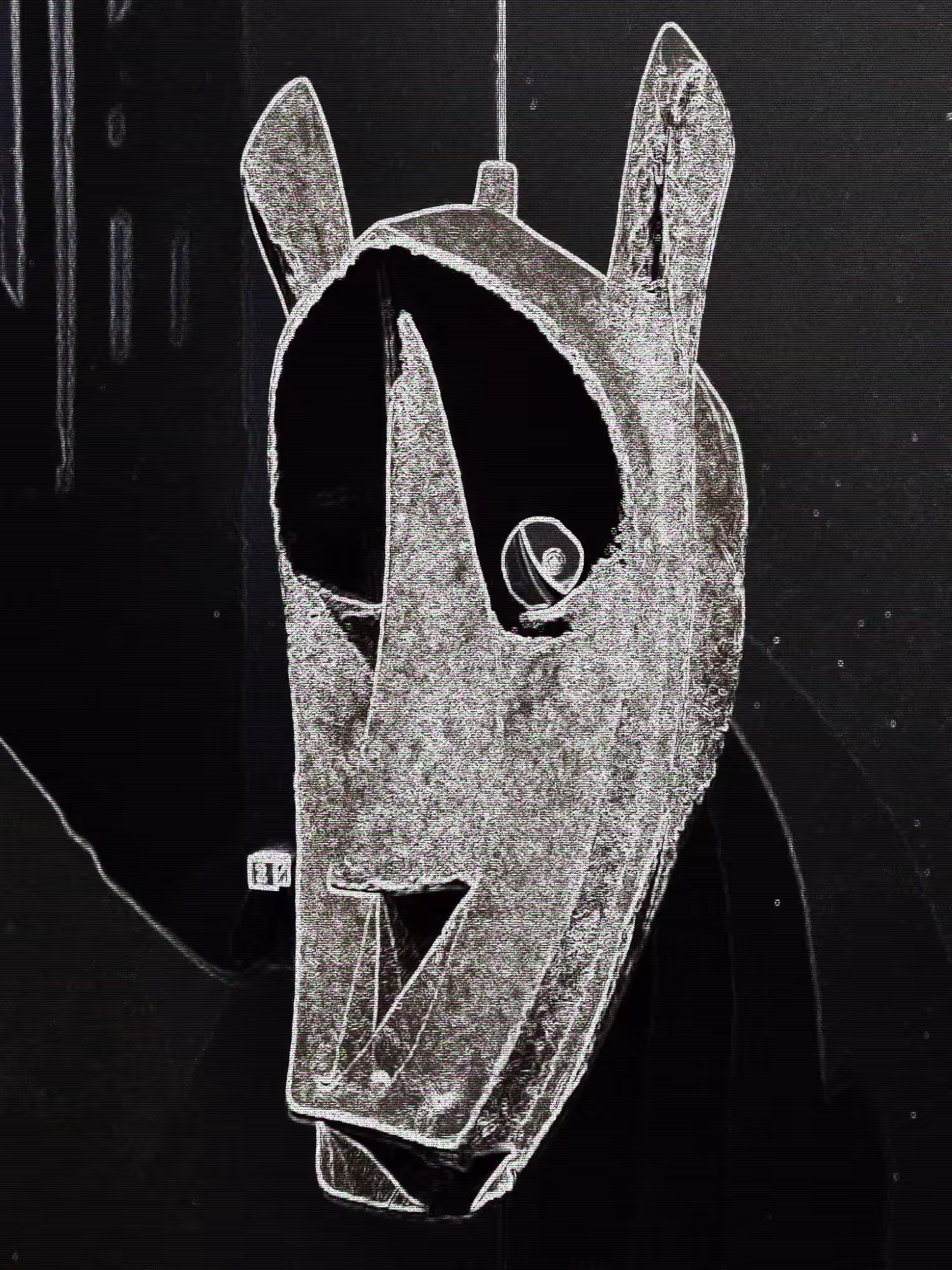Horse head