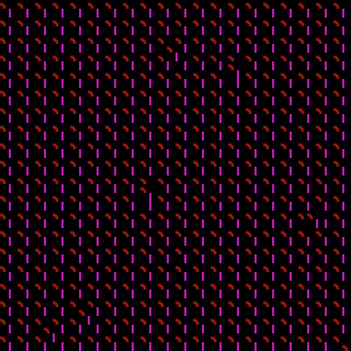 CGA Safari #210
