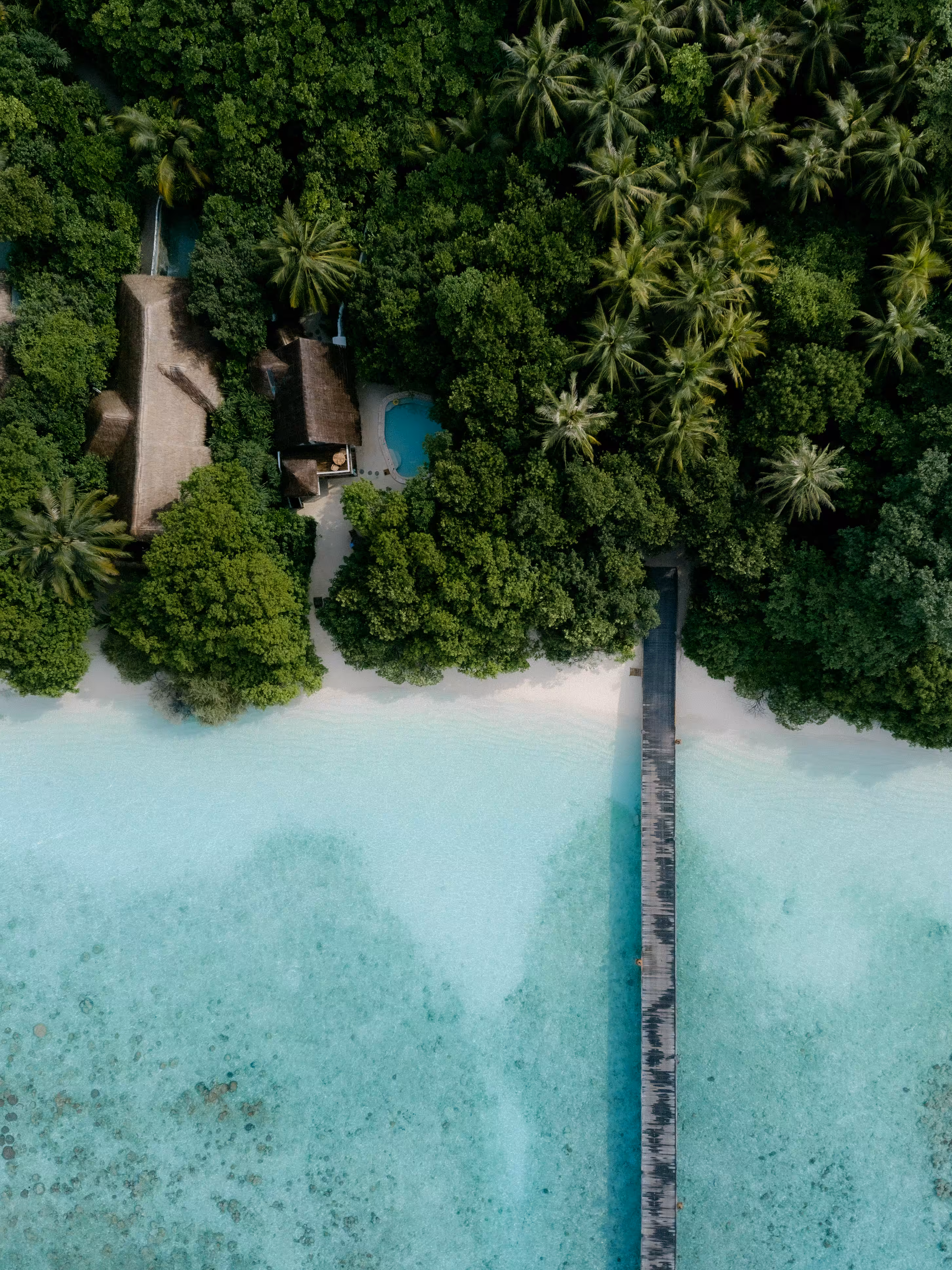 The Island